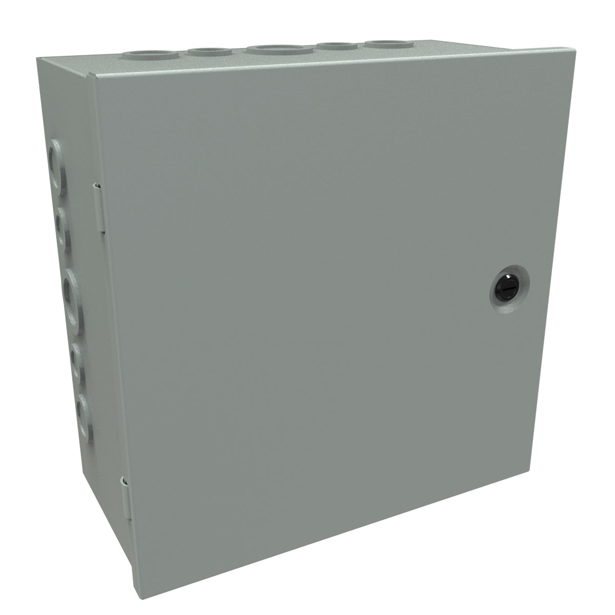CHKO12126 | Hammond Steel Enclosure w/ Hinge Door, 12 in x 12 in x 6 in