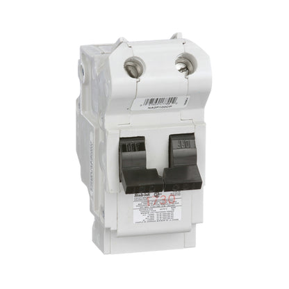 NA2P100 | Federal Pioneer 100A 2 Pole Breaker Stab-Lok